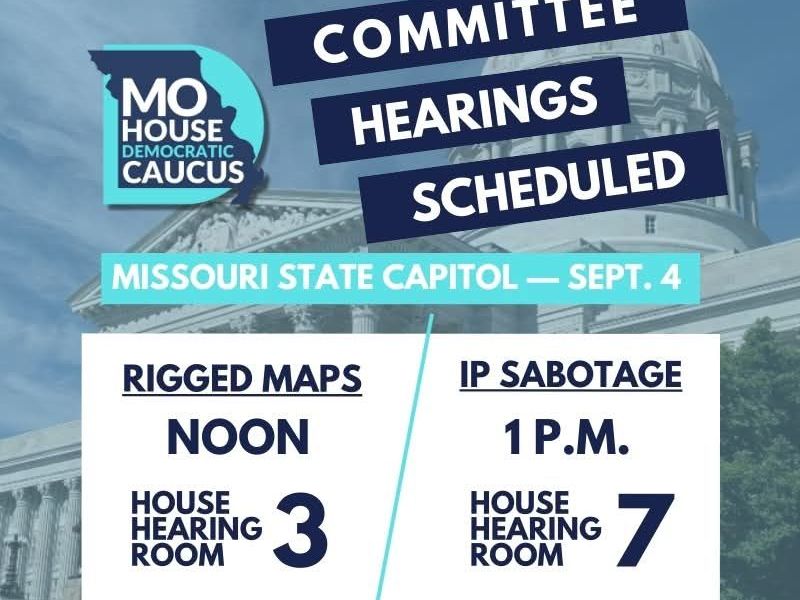 Gerrymandering & Citizen Petition Sabotage&nbsp;Testimony